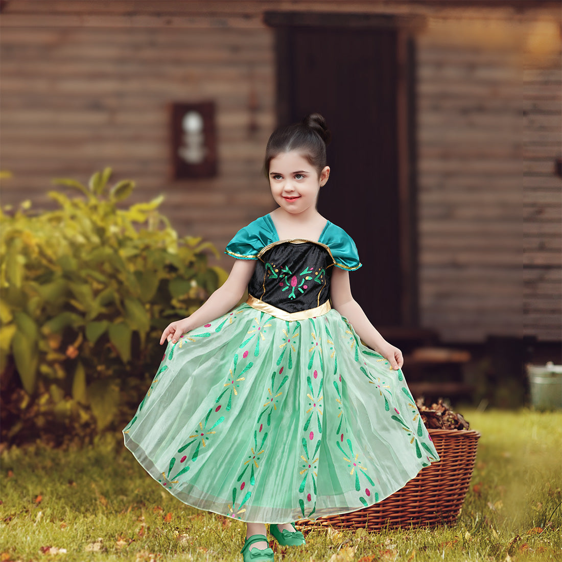 Princess Anna’s Coronation Dress