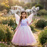 Princess Enchanted Fairy Costume Dress - Sparkly Pink