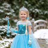 Ice Princess Costume Dress
