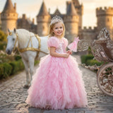 Princess Aurora Costume Dress - Pink