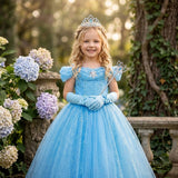 Princess Bleu Costume Dress