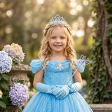 Princess Bleu Costume Dress