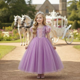 Princess Rapunzel Costume Dress - Purple