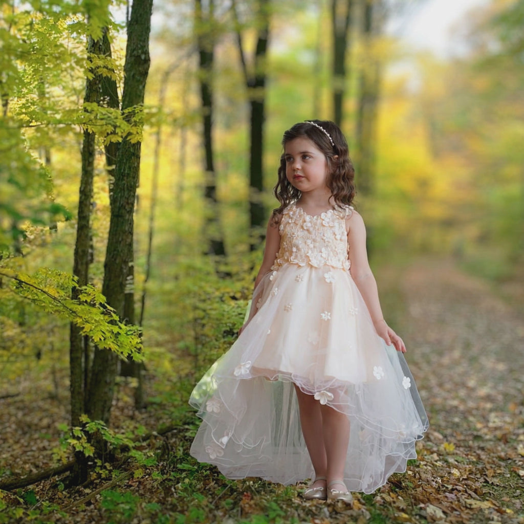 Flower Girl Dress Champagne