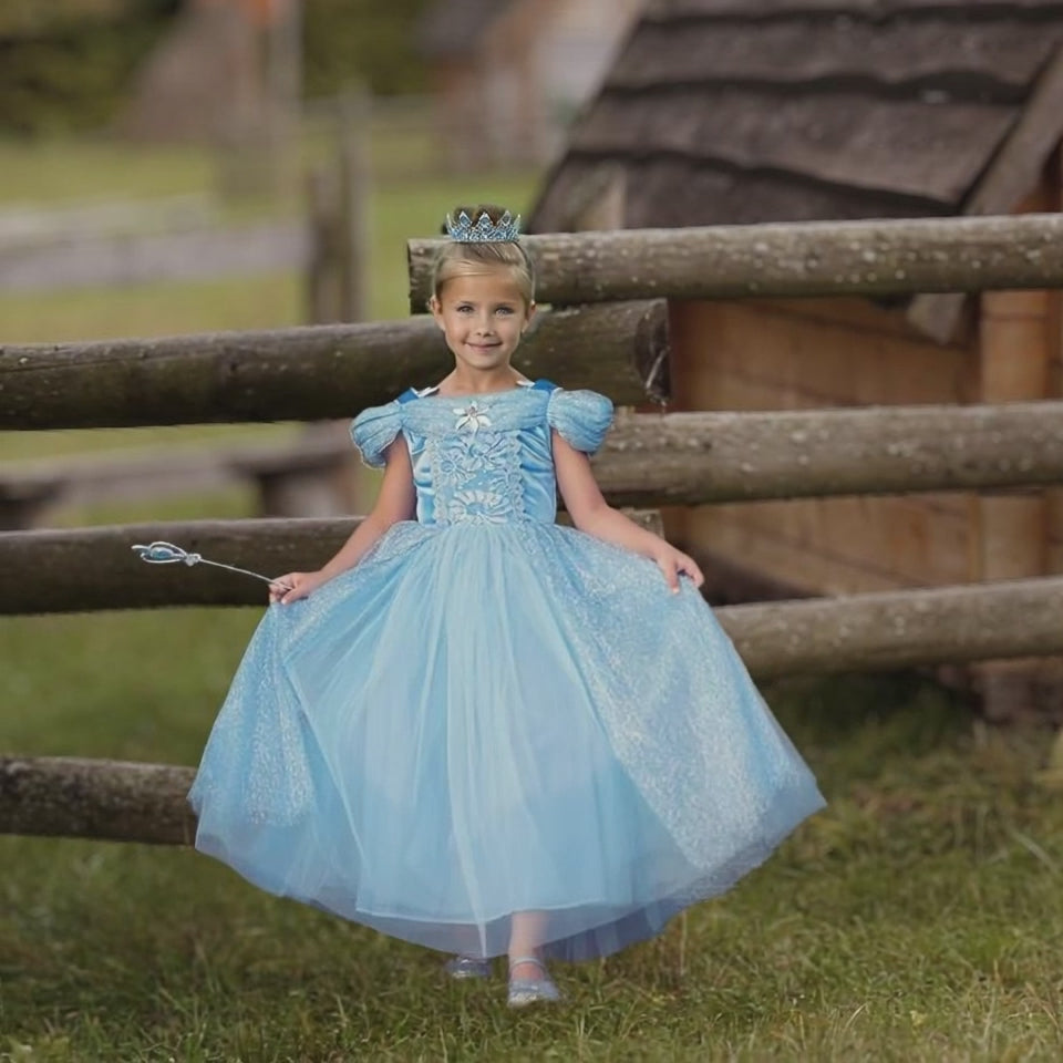 Princess Bleu Costume Dress